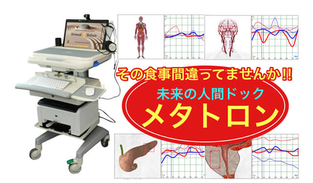 メタトロン詳細はこちら